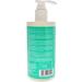 Evo Pro Green Colour Intensifier Treatment 16.9 oz - Buy Online on GoSupps.com