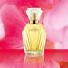 Coty L'aimant Parfum De Toilette Spray 1.7 Ounce - Buy Online on GoSupps.com