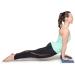 Performance Wedges - Foam Supports for Fitness, Yoga, Pilates & Physical Therapy | Ideal for Squats, Planks, Pushups | 158W - Buy Online on GoSupps.com