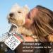 Memorial Keychain with Paw Charm | Stainless Steel Pet Keychain for Cats & Dogs | Pet Memorial Keepsake - Buy Online on GoSupps.com