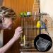 MEISH Bird Feeding Dish Parrot Feeders Water Cage Bowls Bird Cage Feeder Cups Transparent Hanging Dish for Cockatiel Parakeet Parrot (3) - Buy Online on GoSupps.com