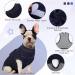 Kuoser Post-Op Dog Body Suit | Breathable Recovery Suit for Male & Female Dogs | Anti-Wound Protection | XS Royal Blue - Buy Online on GoSupps.com