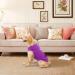 EXPAWLORER Fleece Dog Hoodie with Leash Hole, X-Large Purple - Warm Winter Coat for Dogs - Buy Online on GoSupps.com