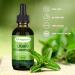 Chlorophyll Liquid Drops - 2 Pack for Energy Boost & Immune Support | Natural Detox & Internal Deodorant - Buy Online on GoSupps.com