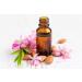 Buy Organic Almond Oil - 200ml Cold Pressed Massage & Facial Oil | Vegan & Certified Organic - Biomond - Buy Online on GoSupps.com