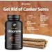 Viaprene Canker Sores Treatment - Relief for Mouth Ulcers with Canker Vitamins - 150 Capsules - Buy Online on GoSupps.com