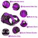 Breakproof Cat Leash Set & Adjustable Soft Vest for Kittens - Reflective Stripes & Purple Dishes (Small) - Buy Online on GoSupps.com