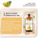 EUQEE Blue Tansy Essential Oil 118ml - Pure Natural Aromatherapy Oil for Diffusers, Home Humidifiers, Relaxation - 1 Pack - Buy Online on GoSupps.com