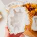 Natural Crystal Rough Natural White Agate Quartz Geode Slice Crystal Cluster Gemstone Collectible Specimen Reiki Crystal for Crystal Home Decoration 130-200g (Size : 130-200g) - Buy Online on GoSupps.com