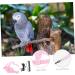 Beavorty 3 Sets Bird Leash Suspend Bird Harness Leashes -bite Training Bird Training Supplies Strap Outdoor 12X6X1.3CMx3pcs Pinkx3pcs - Buy Online on GoSupps.com