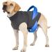Dog Anxiety Jacket Dog Coat Dog Anxiety Vest Jacket Security Vest Coat Anxiety Shirt for Dogs Anxiety Jacket for Dogs Dog Calming Vest for Small Medium Large Dogs (XL). X-Large (Pack of 1) gray - Buy Online on GoSupps.com