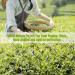 HQZM Yunnan Puer Ripe Tea Soft Ripe Menghai Flavor 357g Orchid Fragrance All Over Unique Tea Charm - Buy Online on GoSupps.com