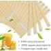 Natural Ear Candles Wax Removal Ear Wax Candles For Ear Candling Wax Removal Ear Candling Candles For Ear Cleaning Ear Wax Candling Ear Wax Removal Candle Ear Bulb Suction Baby (Yellow One Size) One Size Yellow - Buy Online on GoSupps.com