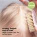 Soft Goat Bristle Baby Hair Brush for Infant, Toddler, Kids - Gentle Cradle Cap Brush - Scalp Grooming Product (Blush, Oval) - Buy Online on GoSupps.com