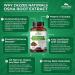 Zazzee OSHA Root Extract 500mg | 120 Vegan Capsules | Potent 4:1 Extract | Ligusticum Porteri | Non-GMO & All-Natural - Buy Online on GoSupps.com