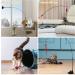 Autoau Interactive Cat Toy with Suction Cup Bird Feather Teaser Wand - Ideal for Indoor Cats and Kittens - 5 Bells, Feather Filler, Training Tool - Buy Online on GoSupps.com
