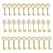 30PCS Assorted Vintage Skeleton Keys (The Juliet Collection, AntiqueGold)