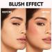 Blush Lip Stick Multi-purpose Light Cream Stick Nourishing Jelly Texture - Instant Lipstick for Women - Daily Makeup & Events - Buy Online on GoSupps.com