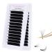 Easy Fan Lashes Eyelash Extensions 0.03 0.05 0.07 Rapid Blooming C D DD Curl Volume Lash 8-20mm Length