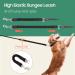 Happy & Polly Dog Leash Retractable Dog Leash Heavy Duty 5M Dog Walking Leash with Flashlight Detachable/Protective Bungee Leash/Magic Box Dispenser Poop Bags for Small Medium Dogs (Green) Green 16.4ft - Buy Online on GoSupps.com