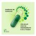 ProCombo Synbiotic - Double Capsule & Liquid Formula for Quick Results | 1 Capsule Daily | International Shipping Available - Buy Online on GoSupps.com