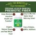 Organic Acacia Senegal Prebiotic Fiber Powder. USDA Organic Plant Based Vegan Prebiotics Supplement for Gut Health. with Digestive Enzymes for Digestion  Roughage Without Bloating  Gas - Buy Online on GoSupps.com