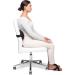 McKenzie Signature Slimline Lumbar Support for Office Chairs & Car Seats - Low Back Support - Buy Online on GoSupps.com