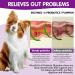 Dog Probiotics Chewables-Gut Health Probiotics - Support Gut Health Itchy Skin Seasonal Allergies and Yeast with Each Tasty Chew -Safe for Small Medium and Large Dogs-120 Pieces Chewable Probiotics - Buy Online on GoSupps.com