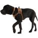Carhartt Nylon Duck Training Dog Harness Carhartt Brown Medium M Carhartt Brown Dog - Buy Online on GoSupps.com