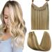 GOO GOO Hair Extensions Human Hair Light Blonde Highlighted Golden Blonde 12 Inch 70g Remy Hair Extensions Wire Hair Extensions Invisible Hairpieces Secret Fish Extensions 12 Inch #(P16/22) Light Blonde Highlighted Golden