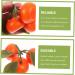 Zerodeko 3pcs Simulation Sugar Orange Plastic Fruit Decor Orange Model House Decorations for Home Artificial Orange Home D cor Playhouse Toy Photo Prop Household Showcase Foam - Buy Online on GoSupps.com