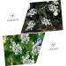 Artibetter 20pcs the fruit wreath artificial decorate Christmas Tree Decor berries christmas tree branch crafts Christmas Tree Decorations flower arrangement artificial xmas berry stem Silver 19X5X5CM - Buy Online on GoSupps.com