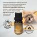 Certified Organic Turmeric Essential Oil 10ml - 100% Pure & Therapeutic Grade for Aromatherapy | Natural & Organic for Massage, Diffusers & Bath | Includes e-Book - Buy Online on GoSupps.com