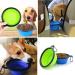 Buy 2-Pack Foldable Dog Travel Bowls - Portable Silicone Feeding Bowls for Pets | Blue & Green 350ml | Ideal for Water & Food with Carabiner Hook - Buy Online on GoSupps.com