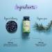 Organic Bilberry & Pine Bark Extract Capsules | High Strength 20:1 Extracts from Finland | Premium Quality (Feno-Myrtillus & Fenoprolic) | 90 Vegan Capsules | NO Additives - Buy Online on GoSupps.com