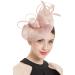 Z&X Women's Sinamay Fascinator Pillbox Headband Hair Clip Cocktail Tea Party Hat 035 Nude Pink One Size