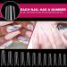 240Pcs Clear Long Coffin Nail Tips - XL C Curve Acrylic Nails for Nail Art Design | Half Cover False Nail Tips with Case - 12 Sizes Included - Buy Online on GoSupps.com