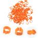 Happyyami 100 Pcs Pigeon Anklet Baby Clips Pigeon Deterrent Balcony Bird Tags Leg Traction Ring Quail Plastic 1.3X1.3CM Orange - Buy Online on GoSupps.com
