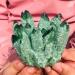 Natural Crystal Rough Green Ghost Phantom Quartz Specimens Gift (Size : 1000g) (Size : 1000g)