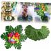 TOPBATHY Personalized Gifts 48pcs Household Decorative Items Personalised Gifts Green Medium - Buy Online on GoSupps.com