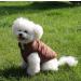 Joydaog 2-Layer Fleece Lined Dog Jacket - Warm & Windproof Vest for Winter - Small Brown (1 Pack) - Buy Online on GoSupps.com
