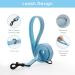 Buy Bella & Pal Dog Harness for Small Dogs with Leash | Breathable Reflective Design | Air Mesh Step-in Dishes for Puppies & Cats | Sky Blue XS (30-35cm) - Buy Online on GoSupps.com
