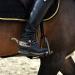 Frdhee West Cowboy Spores - Handcrafted Vintage Horse Gear (2 Pieces) - Rotatable Design for Riding Enthusiasts - Buy Online on GoSupps.com