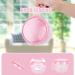 Didatool Large-Scale Prosthesis Box - Leak-Proof Pink Container for Dentures & Orthodontics - Buy Online on GoSupps.com