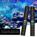 10 Adhesive Fish Basin Temperature Stickers - Aquarium Thermometer Strips for Accurate Water Temperature Tracking - Buy Online on GoSupps.com