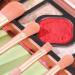 Premium Makeup Brush Set - Soft Multifunctional Travel Brushes for Face Eye Lip & Blush - Perfect for Every Beauty Lover - Buy Online on GoSupps.com
