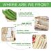 3PCS Natural Loofah Sponge Exfoliating Body Scrubber Set - Sustainable, Eco-Friendly, Egyptian Bath Get Clean - Ideal for Face & Back - Buy Online on GoSupps.com