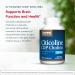 Jarrow Formulas Citicoline (CDP Choline) 250mg - 120 Capsules x 2 (240 Servings) - Brain Health & Attention Support - Buy Online on GoSupps.com