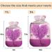 NAANLE Lavender Heart Tree Hot Water Bottle - 2L Transparent Heat Bottle for Back Pain Relief & Cold Therapy | International Shipping Available - Buy Online on GoSupps.com