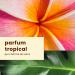 Hawaiian Tropic Sheer Touch Sunscreen Lotion SPF 50+ | 240ml | Ultra-Lightweight Hydrating Protection for All Skin Types - Shop Internationally - Buy Online on GoSupps.com